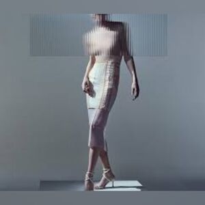 Zara Atelier collection lingerie xs fetish $349 nwt